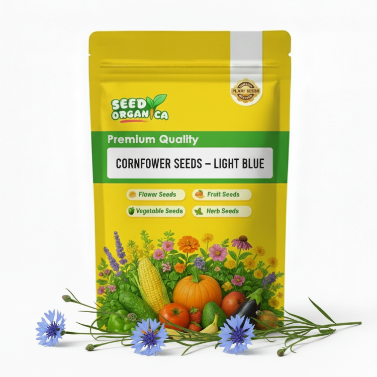 Cornflower Seeds – Light Blue