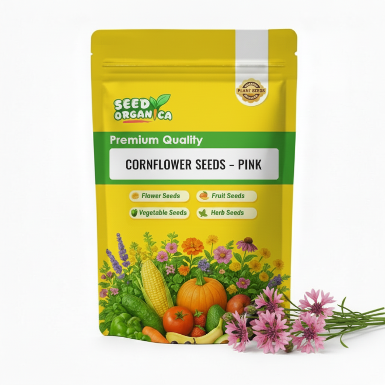 Cornflower Seeds – Pink
