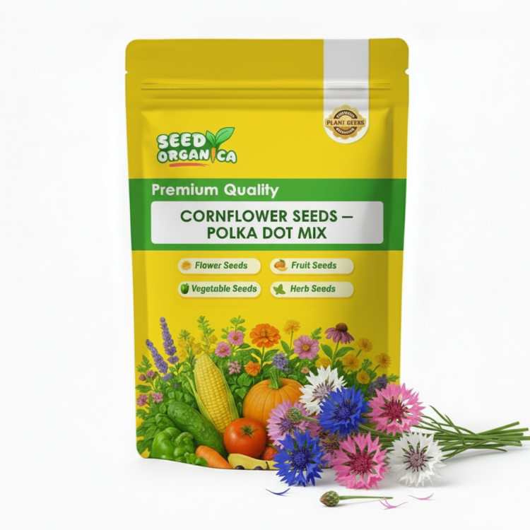 Cornflower Seeds – Polka Dot Mix