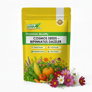 Cosmos Seeds – Bipinnatus Dazzler