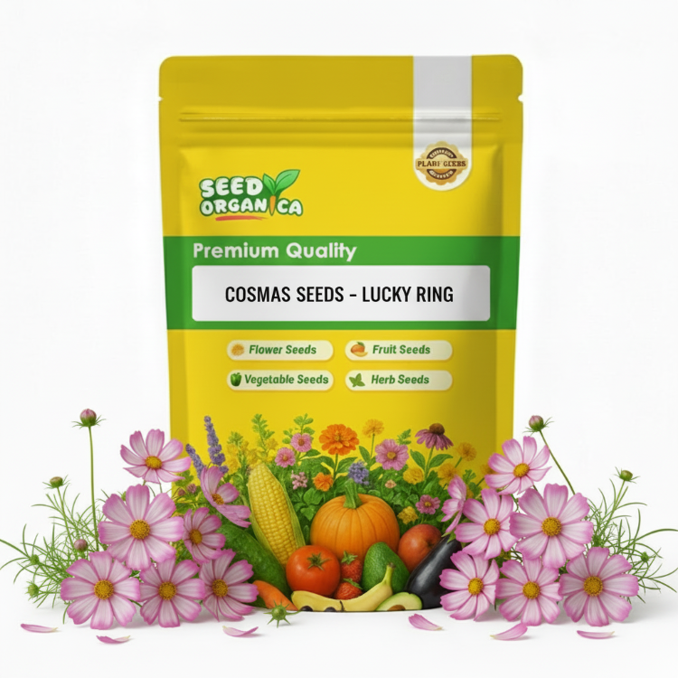 Cosmos Seeds – Lucky Ring