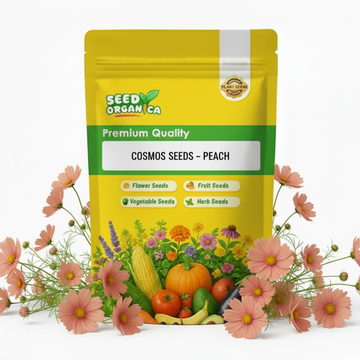 Cosmos Seeds – Peach