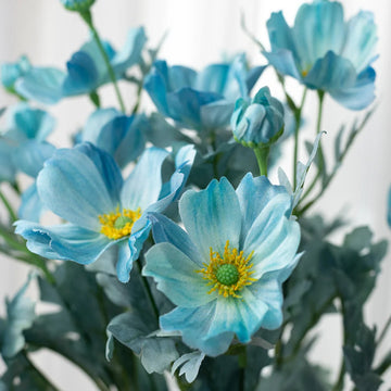 Cosmos Seeds – Teal Blue