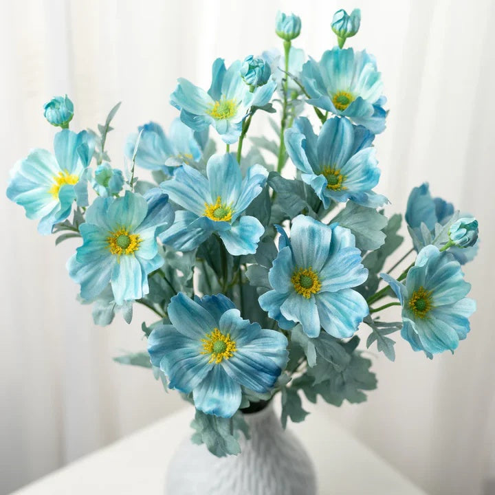 Cosmos Seeds – Teal Blue