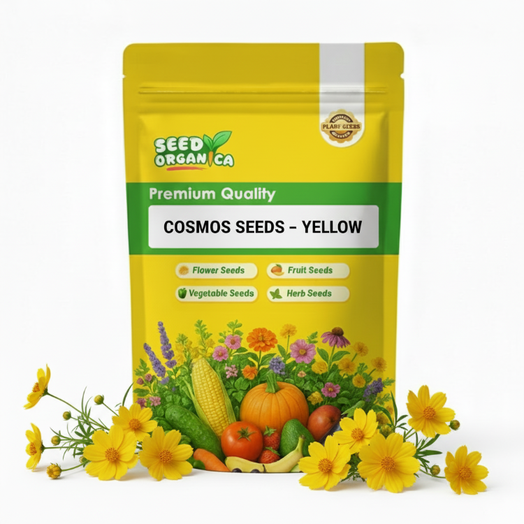 Cosmos Seeds – Yellow