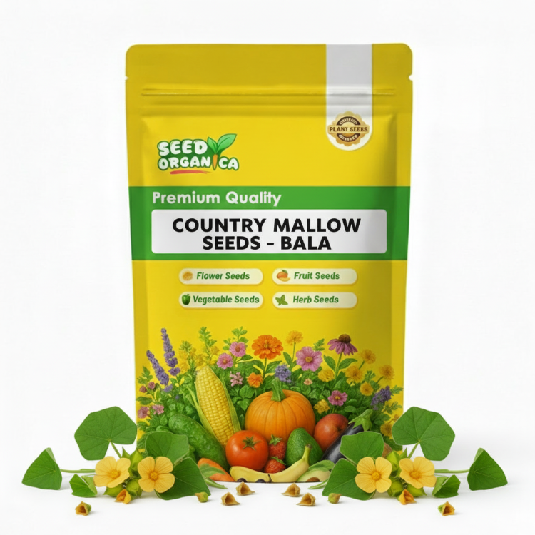 Country Mallow Seeds – Bala