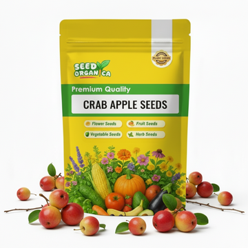 Crab Apple Seeds