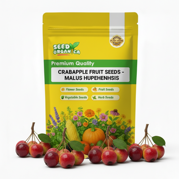 Crabapple Fruit Seeds - Malus Hupehensis