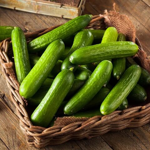 Cucumber Seeds – Holland Baby