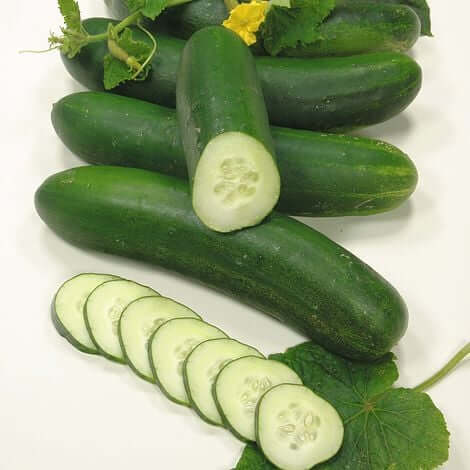 Cucumber Seeds – Vegetable