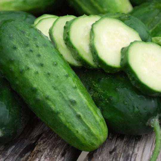 Cucumber Seeds – Carolina 