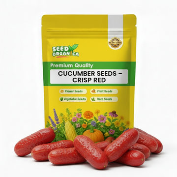 Cucumber Seeds – Crisp Red