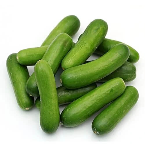 Cucumber Seeds – Holland Baby