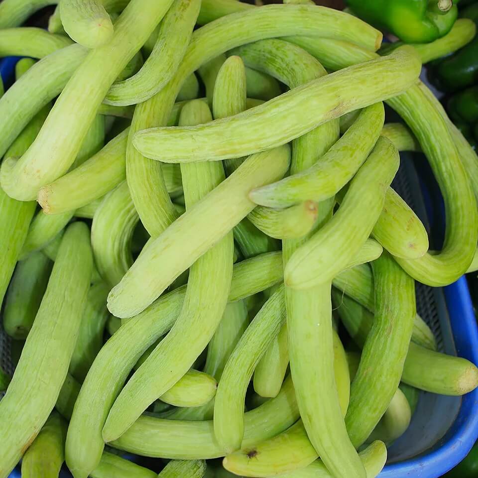Cucumber Seeds – Long