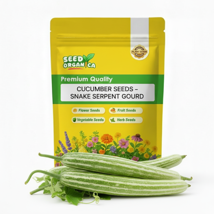 Cucumber Seeds –  Snake Serpent Gourd