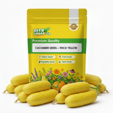 Cucumber Seeds – Thick Yellow