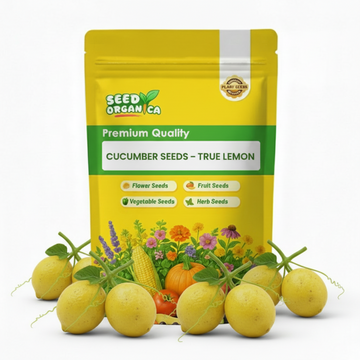 Cucumber Seeds – True Lemon