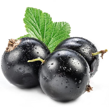 Currant Seeds - General