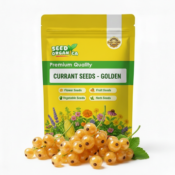 Currant Seeds - Golden