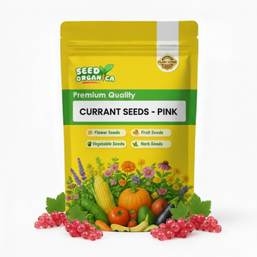 Currant Seeds - Pink