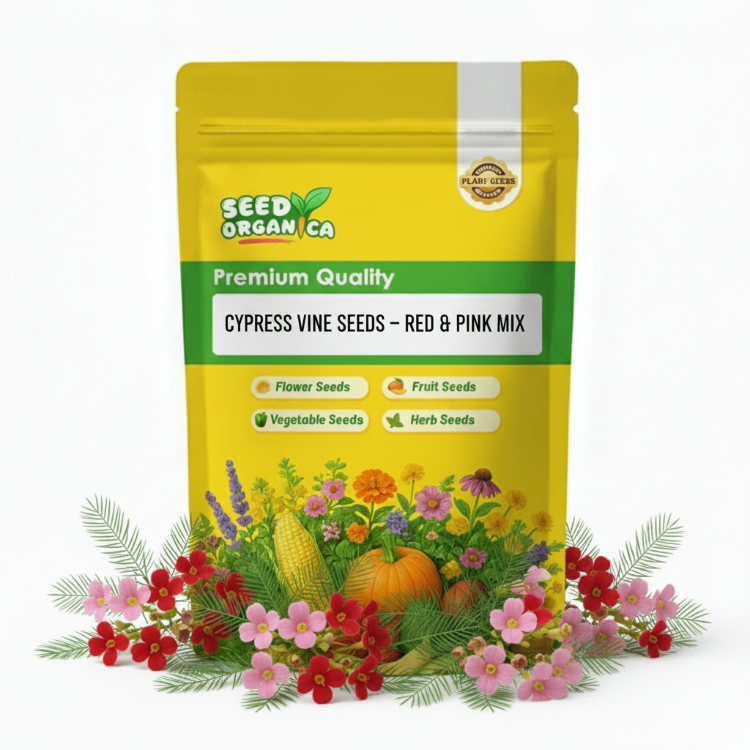 Cypress Vine Seeds – Red & Pink Mix