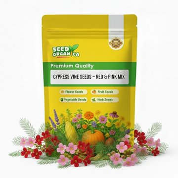 Cypress Vine Seeds – Red & Pink Mix