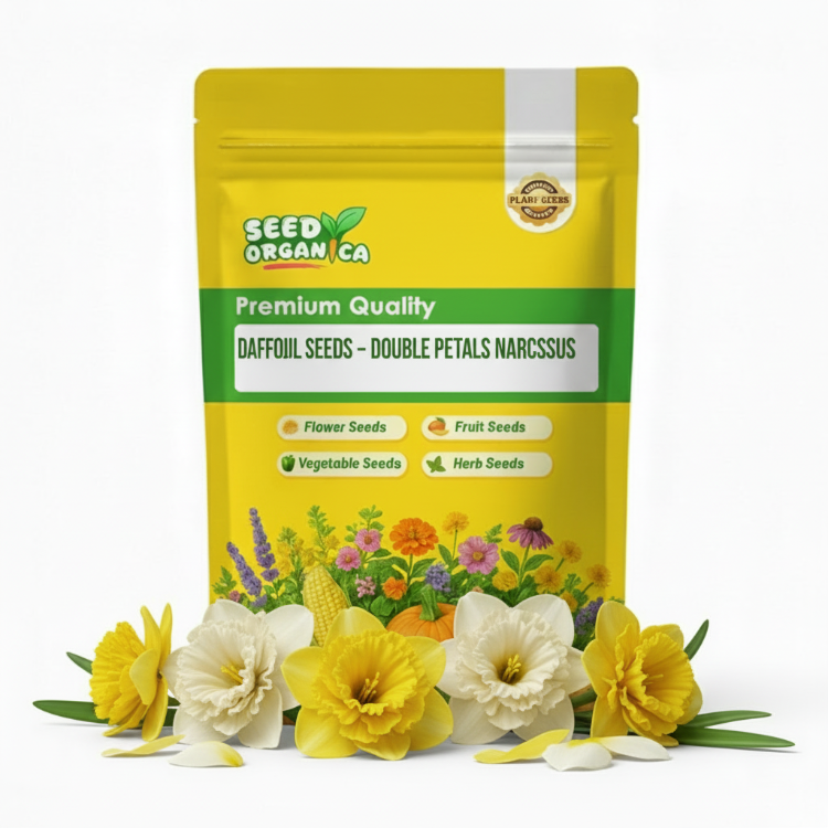 Daffodil Seeds – Double Petals Narcissus