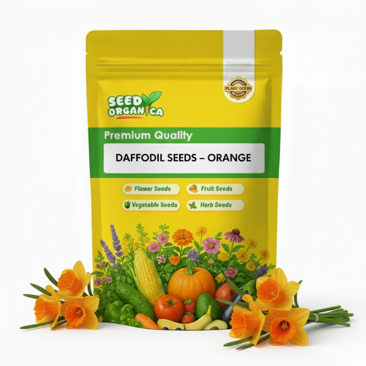 Daffodil Seeds – Orange