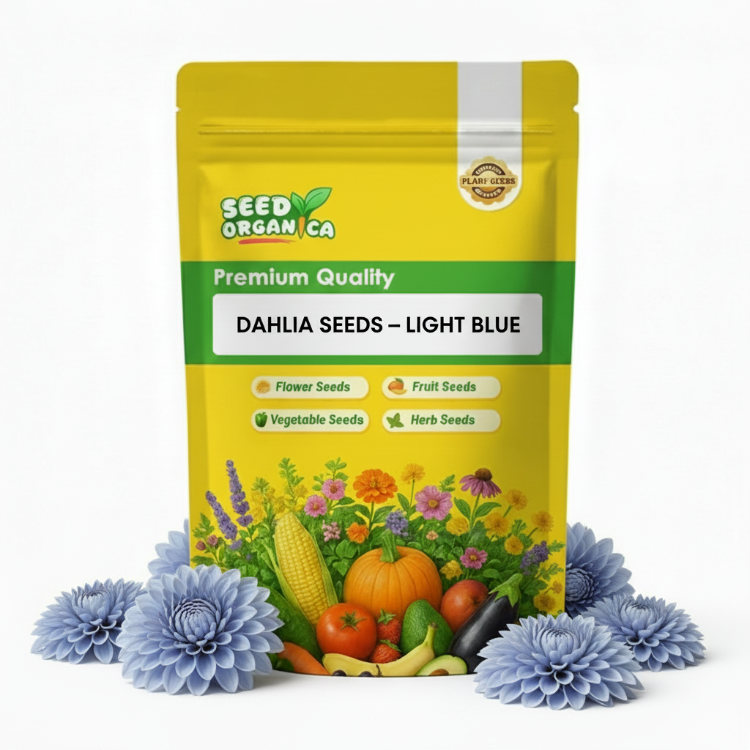 Dahlia Seeds – Light Blue
