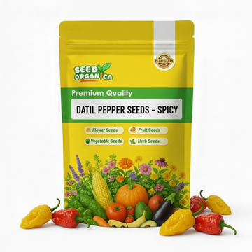 Datil Pepper Seeds – Spicy