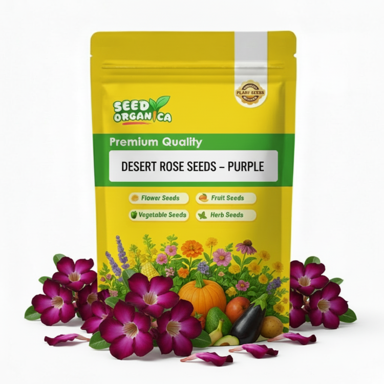 Desert Rose Seeds – Purple