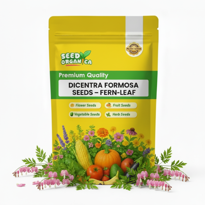 Dicentra Formosa Seeds – Fern-Leaf