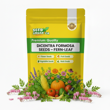 Dicentra Formosa Seeds – Fern-Leaf