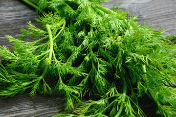 Dill Seeds – Bouquet
