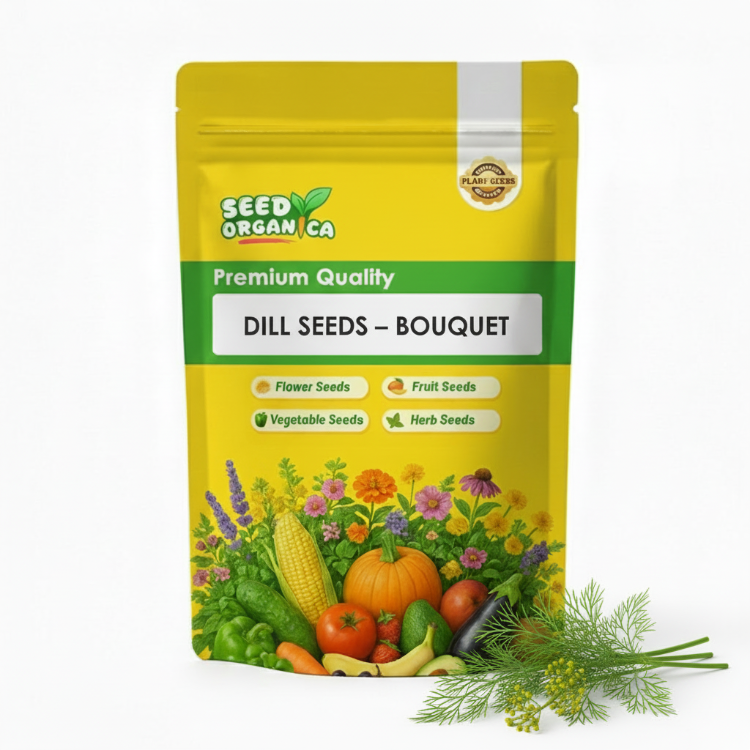 Dill Seeds – Bouquet