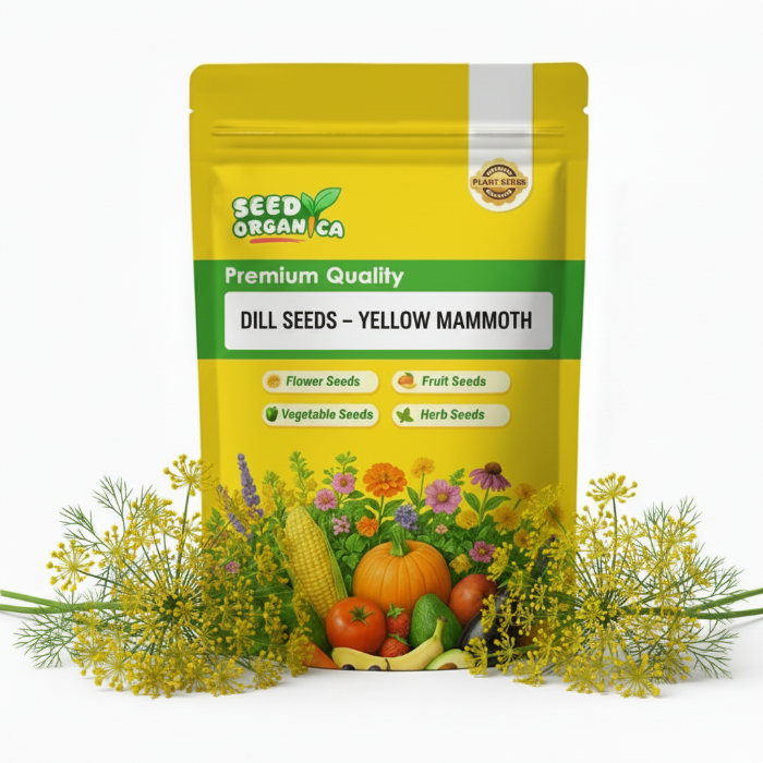 Dill Seeds – Yellow Mammoth