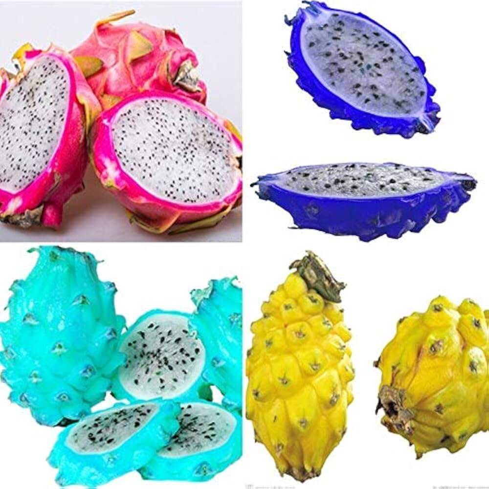 Dragon Seeds – Mixed Color
