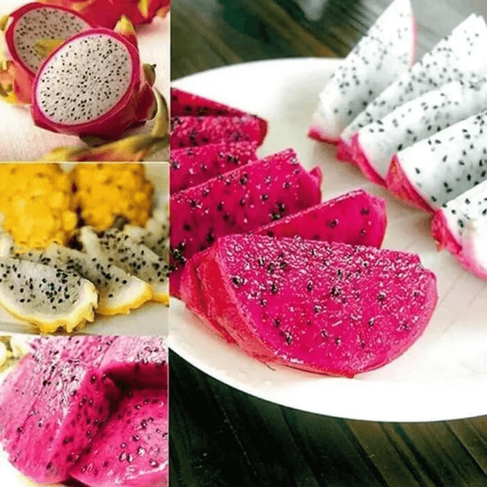 Dragon Seeds – Mixed Color
