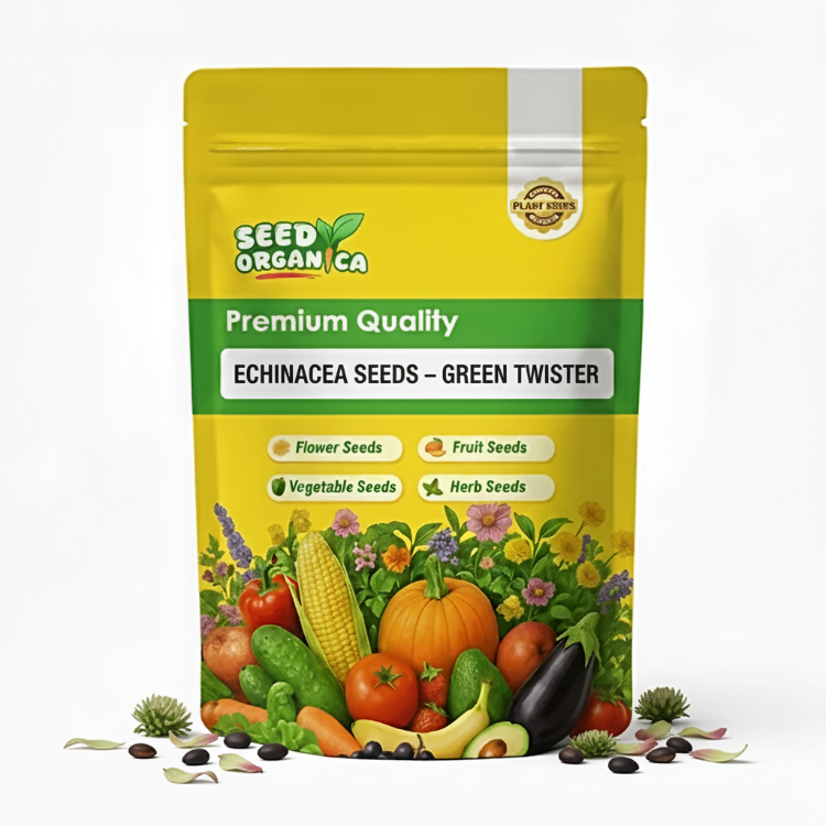 Echinacea Seeds – Green Twister