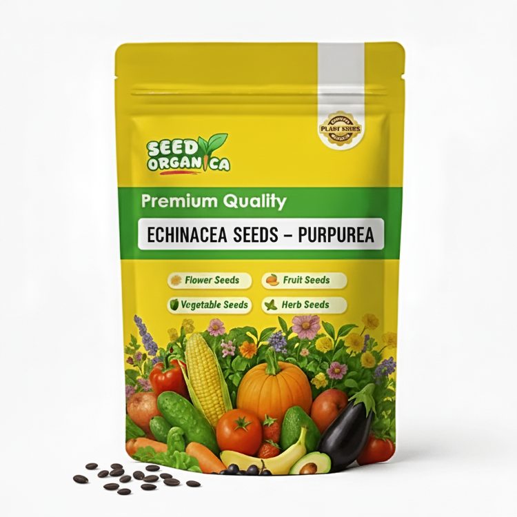 Echinacea Seeds – Purpurea