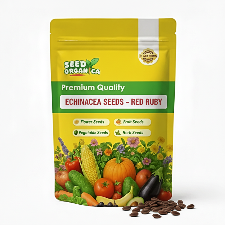 Echinacea Seeds – Red Ruby