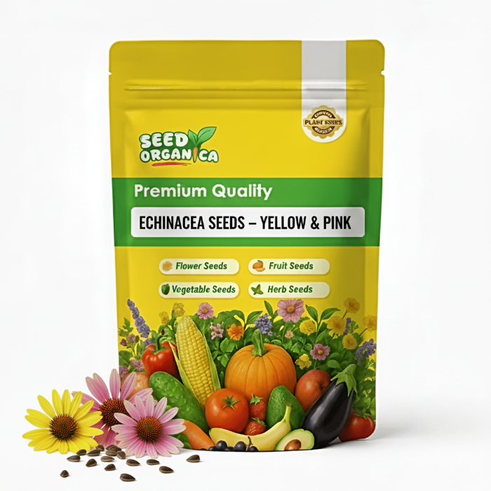 Echinacea Seeds – Yellow & Pink