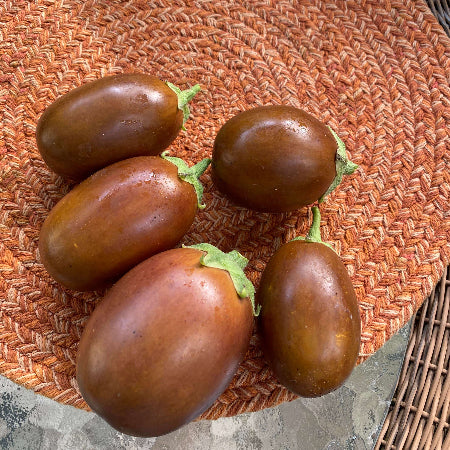 Eggplant Seeds – Brown