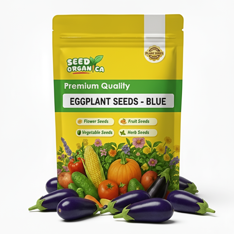 Eggplant Seeds - Blue