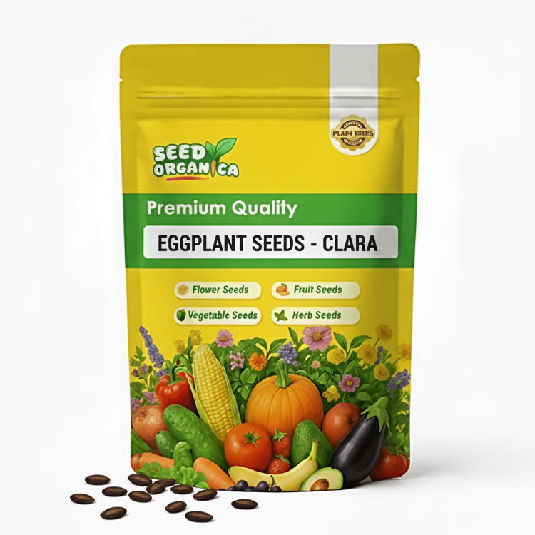 Eggplant Seeds - Clara