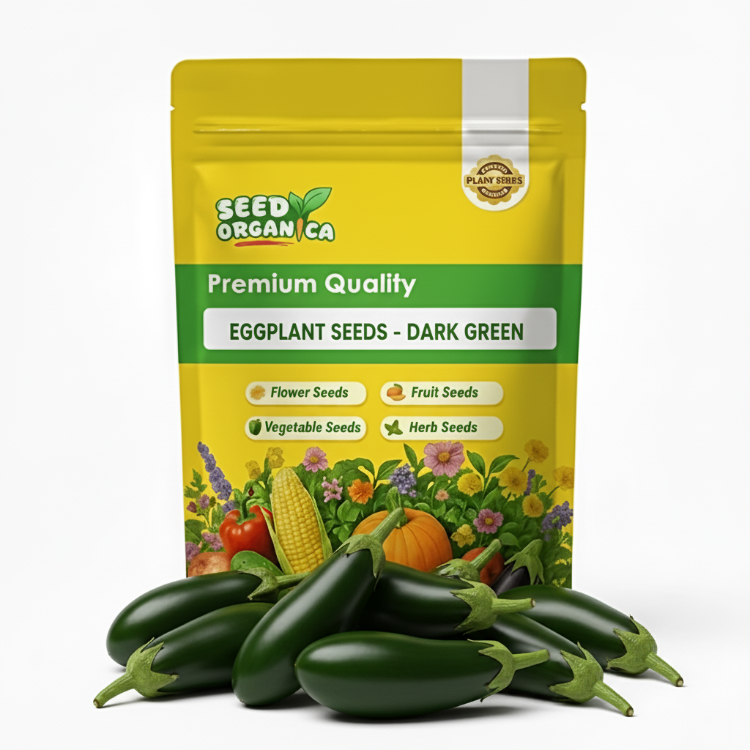 Eggplant Seeds - Dark Green