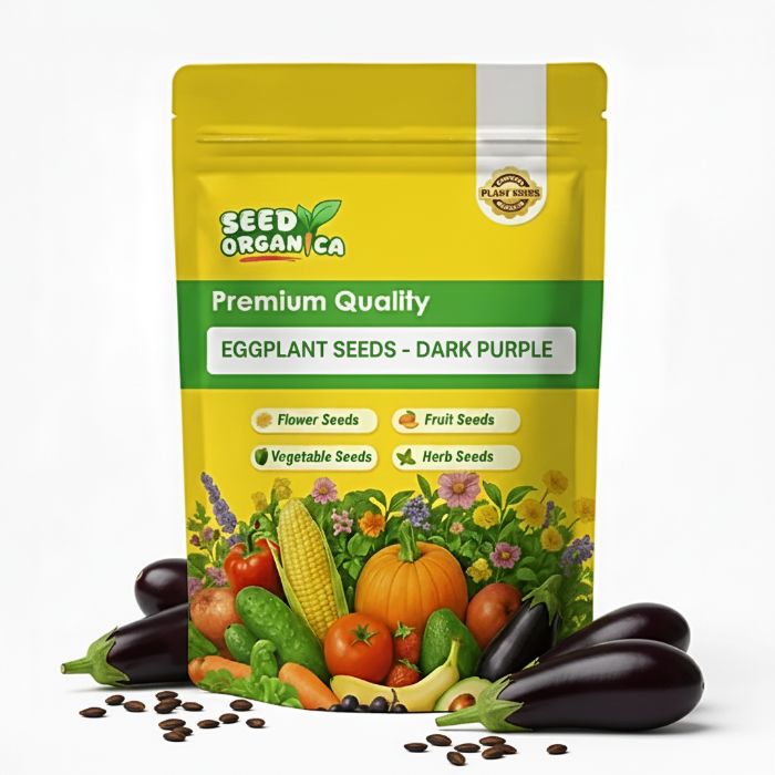 Eggplant Seeds - Dark Purple