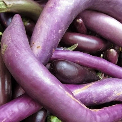 Eggplant Seeds - Gourmet