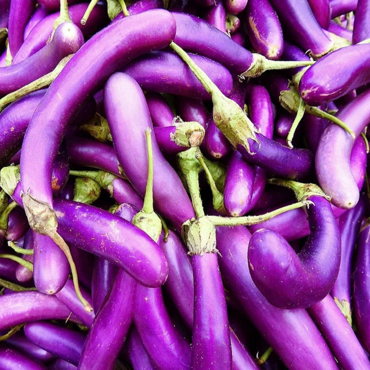Eggplant Seeds - Gourmet