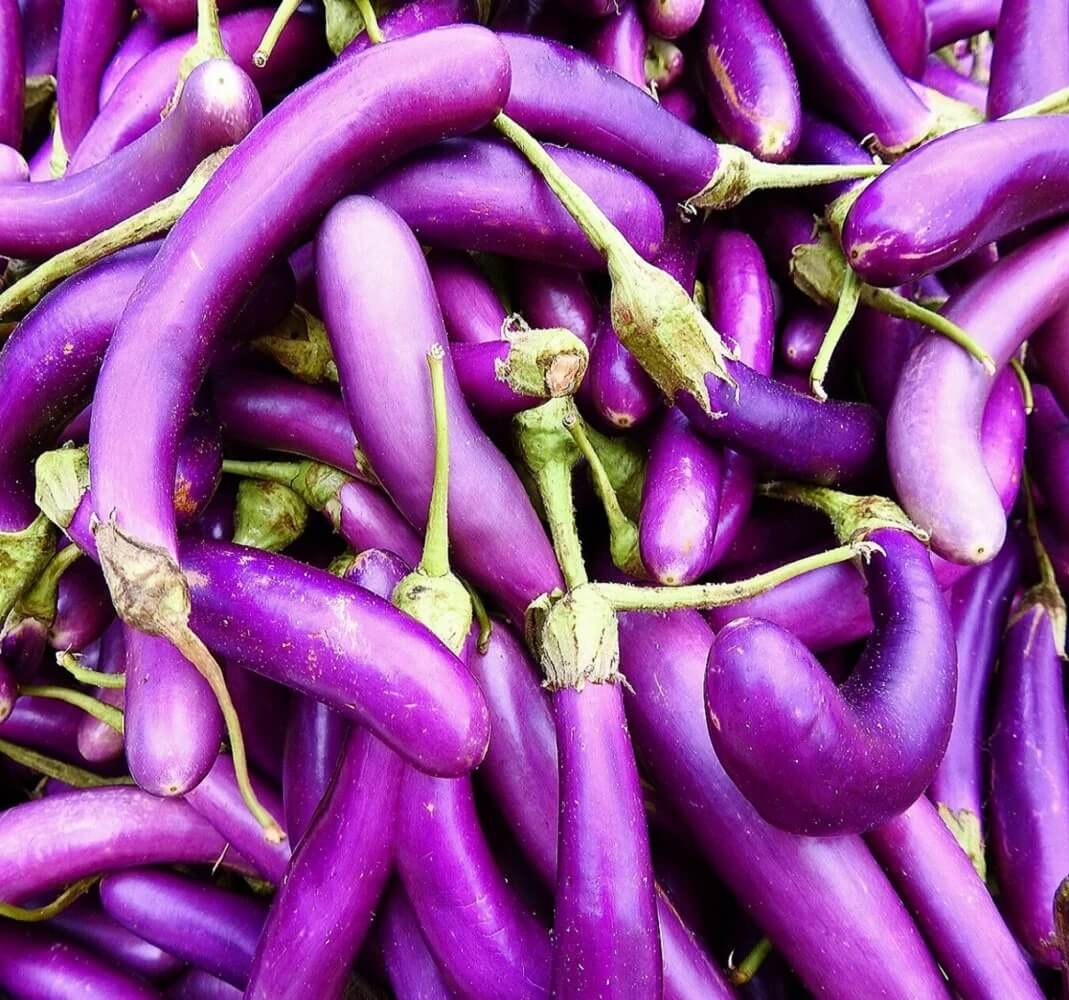 Eggplant Seeds - Green Violet